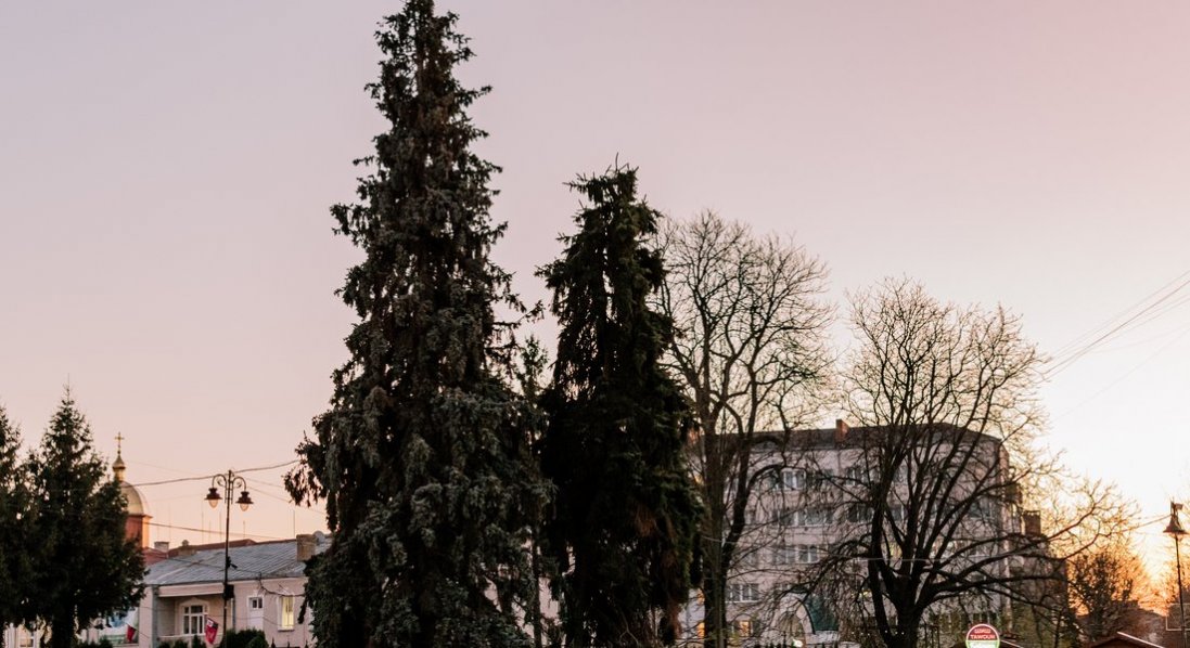 Коли засвітять головні ялинки Луцька