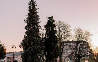 Коли засвітять головні ялинки Луцька