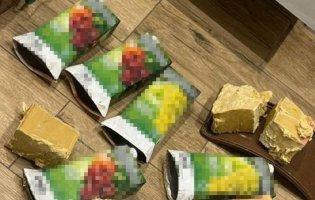 На Рівненщині підлітки допомагали росіянам облаштовувати схрони з вибухівкою