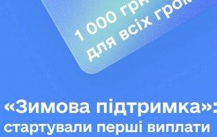 Чому не всі, хто подав заявки, отримали «зимову підтримку»
