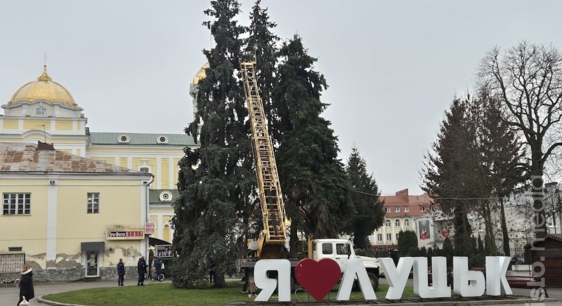 У центрі Луцька почали прикрашати головні ялинки