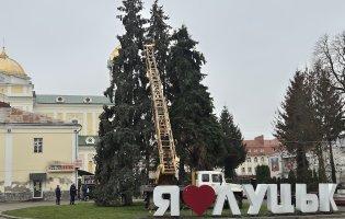 У центрі Луцька почали прикрашати головні ялинки