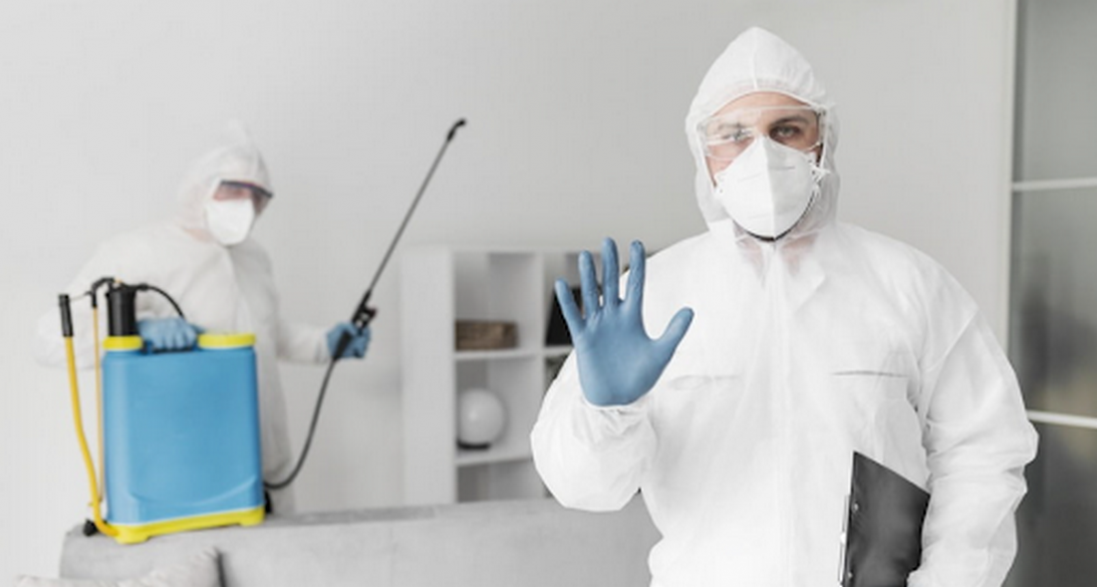 Як запобігти появі тарганів у новобудовах: поради для власників квартир