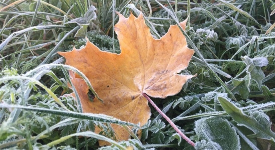 На Волині на Різдво прогнозують «зимове бабине літо»