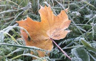 На Волині на Різдво прогнозують «зимове бабине літо»