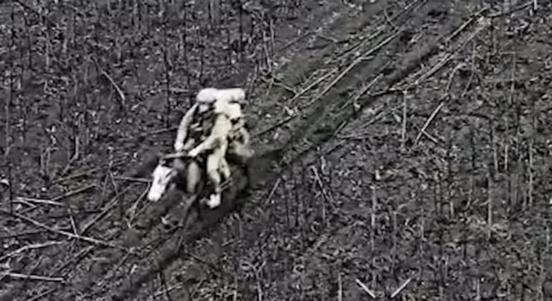 росіяни почали ходити у штурми на конях