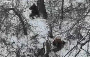 На Донеччині росіяни розстріляли двох військовополонених