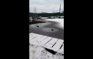 На Волині зникли унікальні Оконські джерела