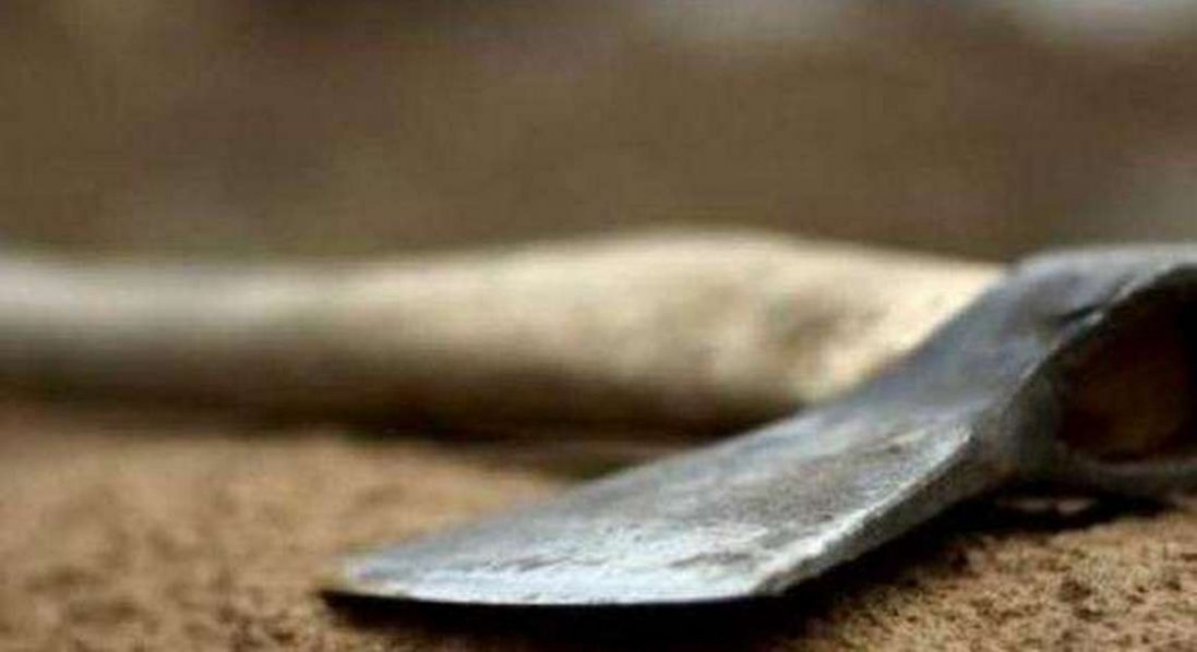 На Волині син сокирою вбив рідну матір