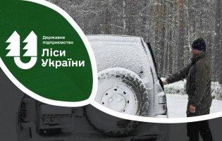 На Рівненщині затримали бурштинокопачів
