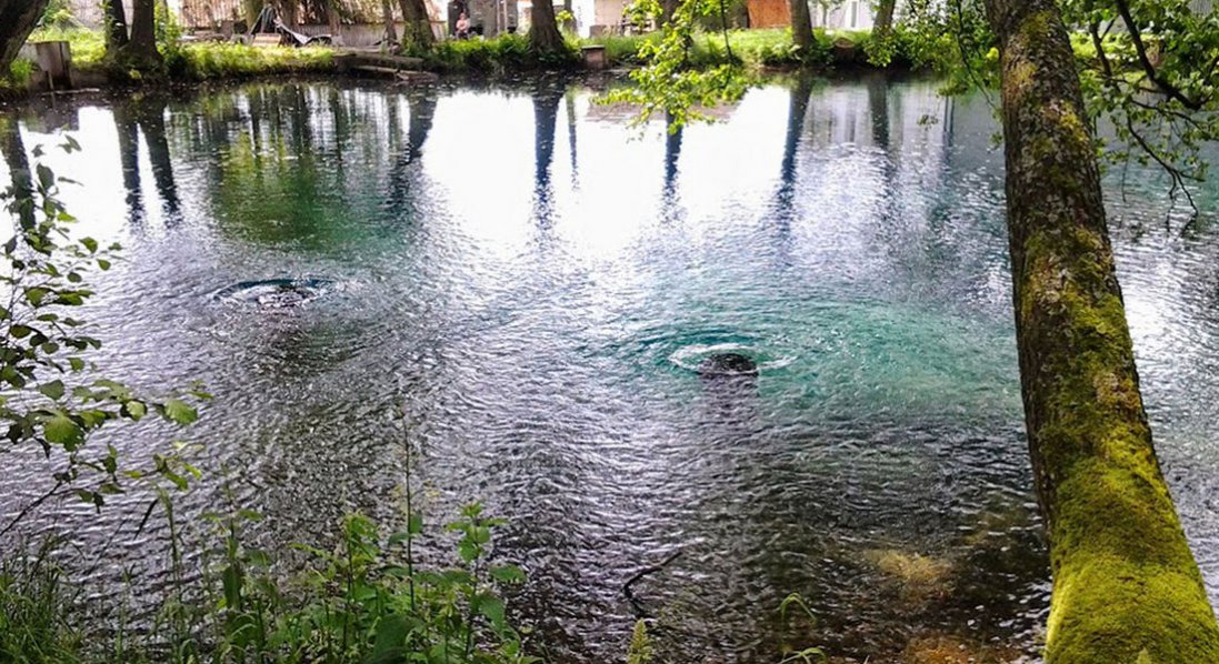 В Оконських джерелах з’явилася вода