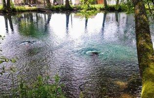 В Оконських джерелах з’явилася вода
