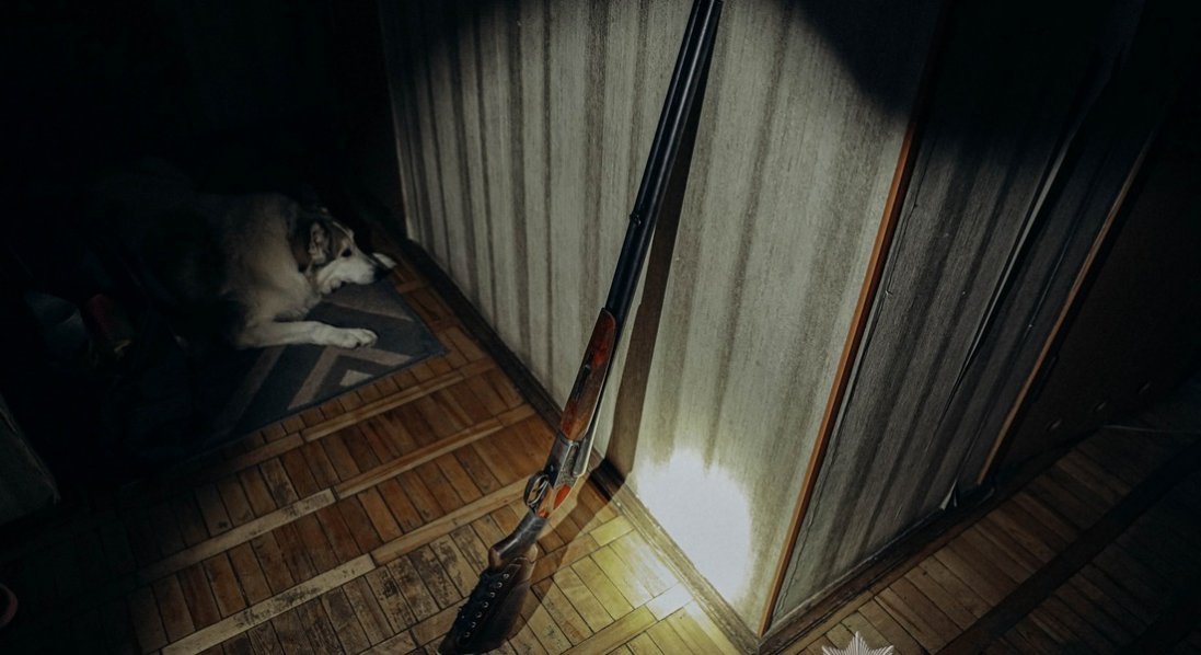 У Луцьку чоловік цілився у невістку та внука, а влучив у поліцейського