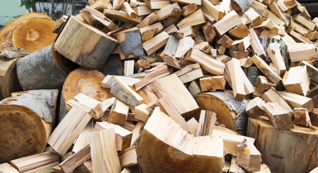 На Волині лісничий із помічником незаконно збували підприємцю ліс