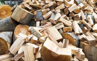 На Волині лісничий із помічником незаконно збували підприємцю ліс