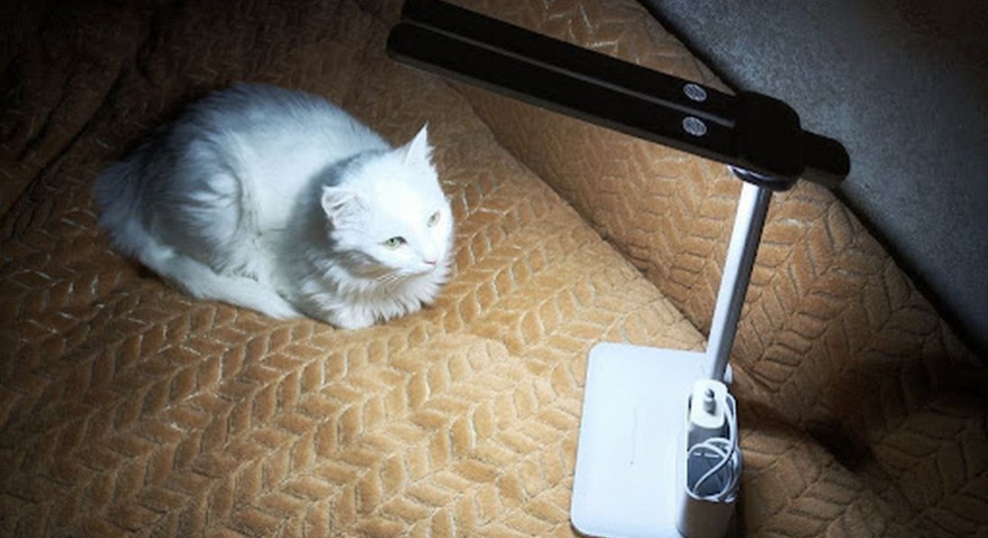 Темні часи: як жителі Одещини переживають наслідки наймасштабнішої атаки на світло