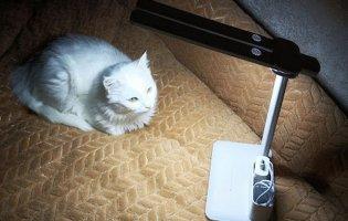 Темні часи: як жителі Одещини переживають наслідки наймасштабнішої атаки на світло