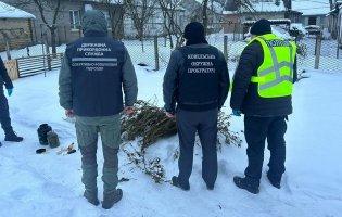 Прикордонники викрили волинянина, який торгував канабісом