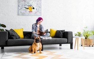 Топ-5 місць у Львові, де можна знайти якісні м’які  меблі: від бюджетних до преміум