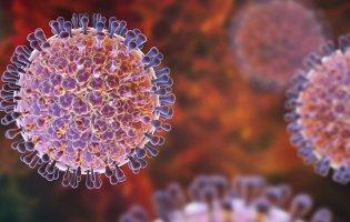 Спалах ротавірусу: чому він дуже небезпечний та як від нього захиститися?