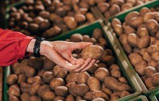 В Україні дорожчає картопля