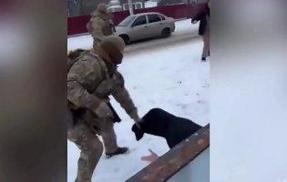 У Чернівецькій області під час затримання військового, який був у розшуку, сталася бійка