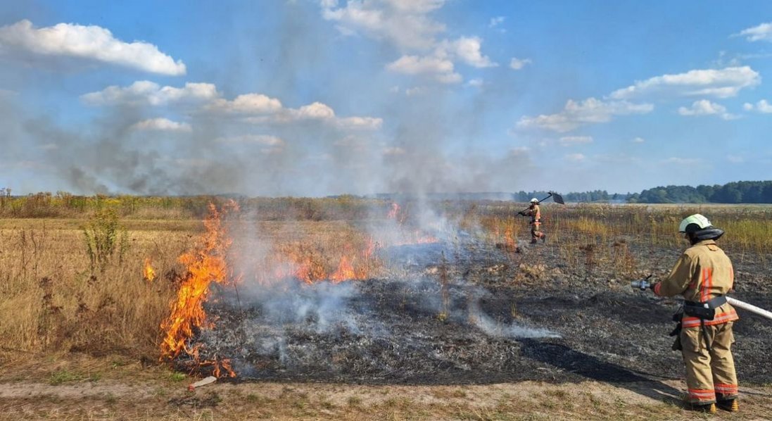Підпалили листя – готуйте 6000 грн штрафу!