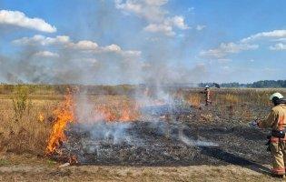 Підпалили листя – готуйте 6000 грн штрафу!