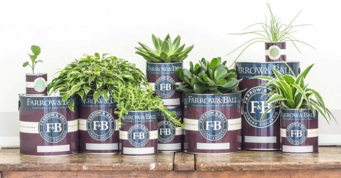 Практична фарба для стін: склади та асортимент