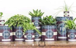 Практична фарба для стін: склади та асортимент