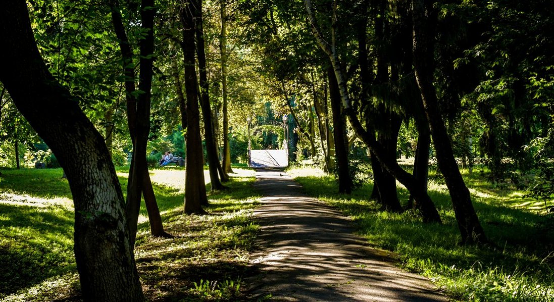 У Луцьку парки оброблятимуть від кліщів і комарів