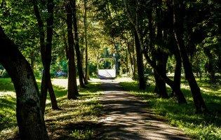 У Луцьку парки оброблятимуть від кліщів і комарів