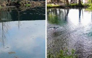 Унікальні Оконські джерела зникли