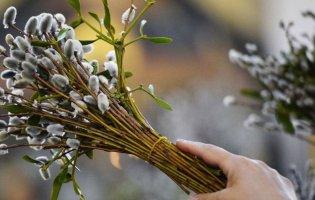 Храми Луцька оприлюднили розклади богослужінь на Вербну неділю