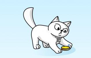 Без бухгалтерського хаосу — як mono спрощує життя підприємцям