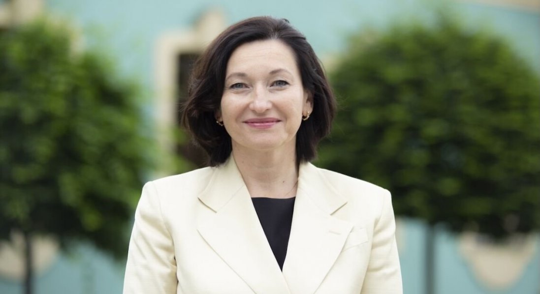 Що задекларувала нардепка з Волині Ірина Констанкевич