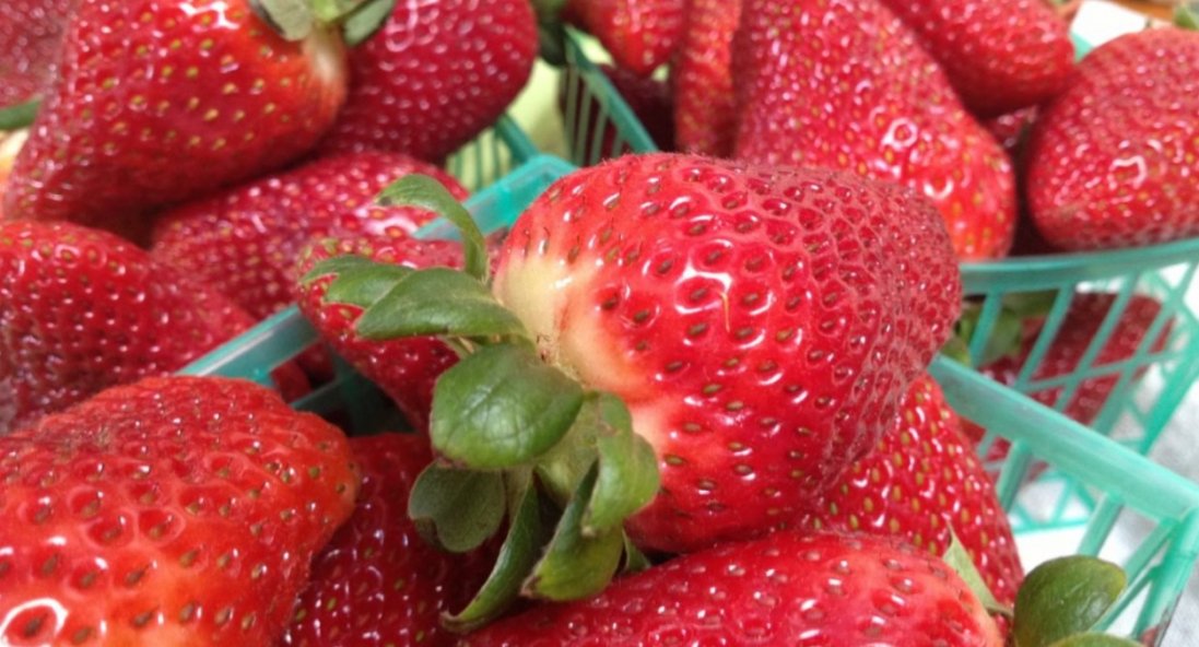 Ремонтантна суниця: переваги, нюанси та можливі труднощі