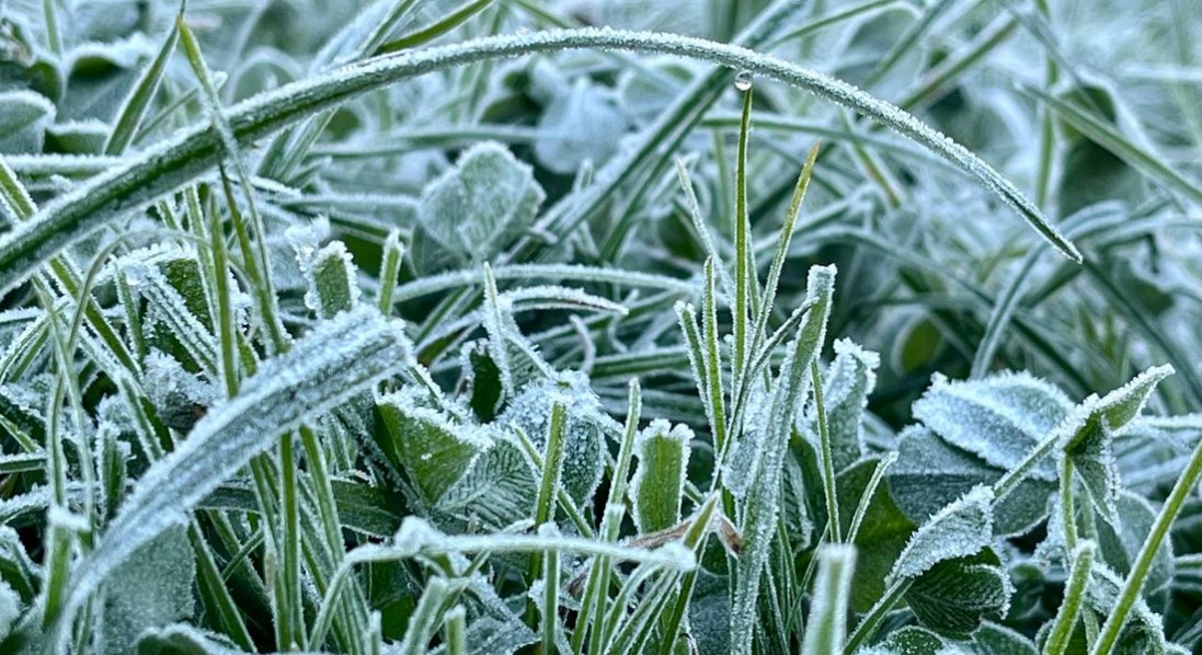 На Луцьк сунуть заморозки