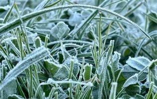 На Луцьк сунуть заморозки