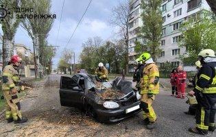 В Україні через негоду загинули троє людей