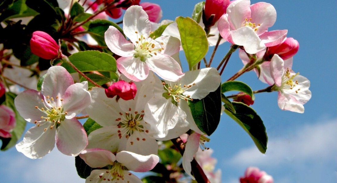 Луцьк побив черговий температурний рекорд