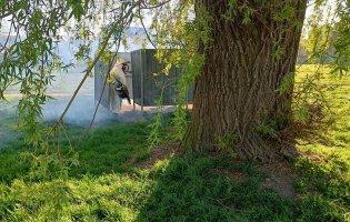 Понад 100 звернень через укуси кліщів: на Волині обробляють зелені зони від комах