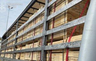 Волинського підприємця судитимуть за контрабанду лісоматеріалів