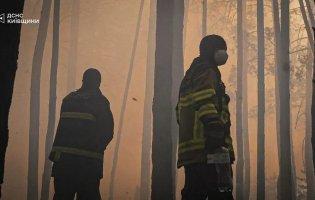 У Зоні відчуження - лісова пожежа, яка охопила понад 1100 га