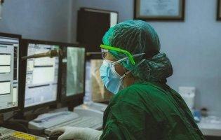 В Україні виявили вже 63 випадки зараження хантавірусом