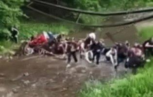 На Буковині обвалився дерев’яний міст з дітьми, є постраждалі