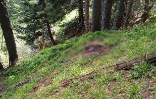 Біля кордону з Румунією знайшли тіло чоловіка