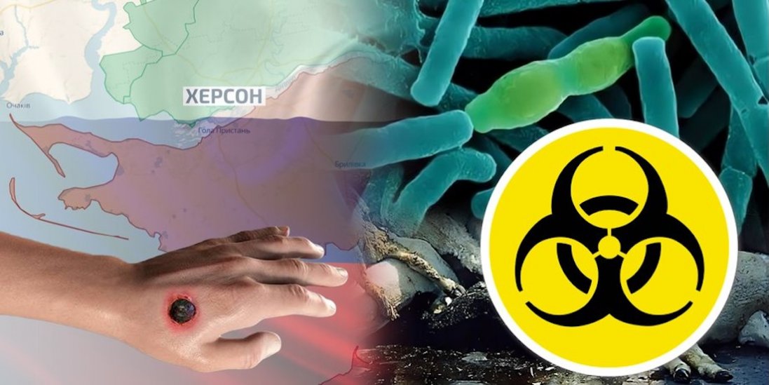 росіяни створюють умови для спалаху сибірської виразки на окупованій Херсонщині
