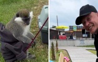 На Волині судитимуть харків'янина, який заробляв на пляжі платними фото з мавпою