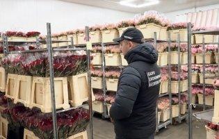 Квіти, ФОПи і понад 27,9 мільйонів прихованих доходів: на Волині припинили схему дроблення бізнесу
